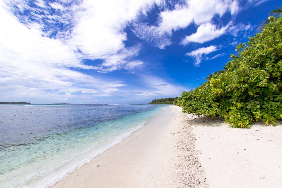 Top-Notch Sliding Door Repair Services in Sunny Isles Beach, FL